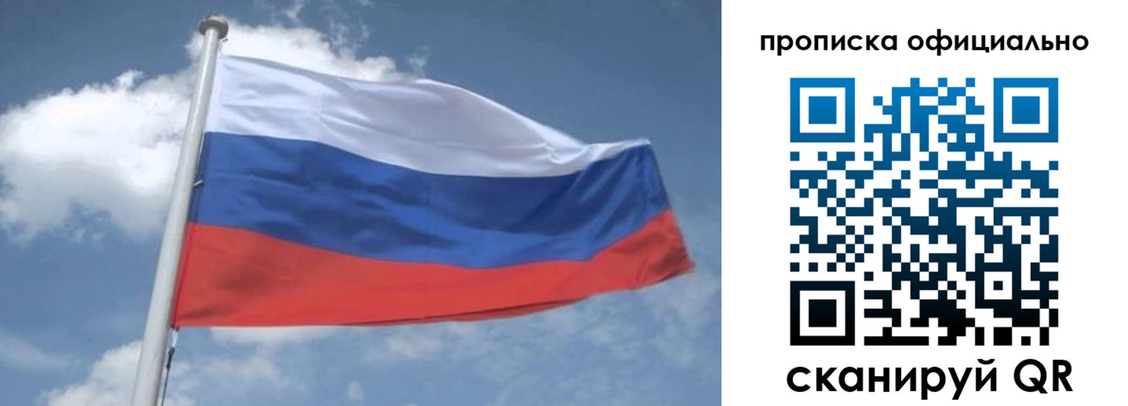 прописка для школы в Ермолино